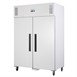 Polar G-serie 2-deurs koeling wit 1200L