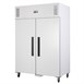 Polar G-serie 2-deurs vriezer wit 1200L