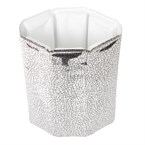 Vacu Vin snelle flessenkoeler