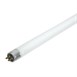 Nisbets essentials vervangende fluorescerende lamp voor insectendoder 8w