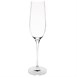 Olympia Campana champagneglazen 26cl (6 stuks)