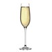 Olympia Campana champagneglazen 26cl (6 stuks)