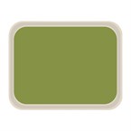 Roltex America polyester dienblad 46 x 36cm groen