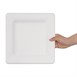 Fiesta Compostable composteerbare bagasse borden vierkant (50 stuks)