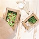 Fiesta Recyclable saladeboxen met PET venster
