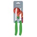 Victorinox Gekarteld Tomaat/Utility Mes 11cm Groen (2 stuks)