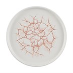 Churchill Studio Prints Kintsugi Coral Borden 220mm (6 stuks)