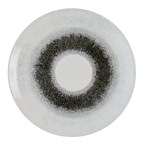 Churchill Studio Prints Fusion Black Evolve Coupe Bord 28.6cm (12 stuks)