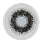 Churchill Studio Prints Fusion Black Walled Bord Met Opstaande Rand 21cm (6 stuks)