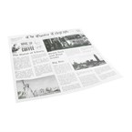 Sier Dispsoabels Vetvrij papier 300 x 300mm (300 stuks)