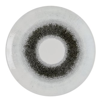 Churchill Studio Prints Fusion Black Evolve Coupe Bord 28.6cm (12 stuks)